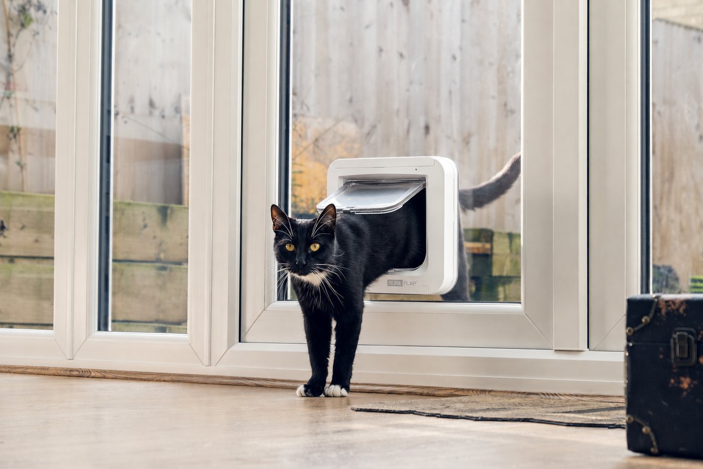 A black cat stepping through a cat door in a glazed patio door