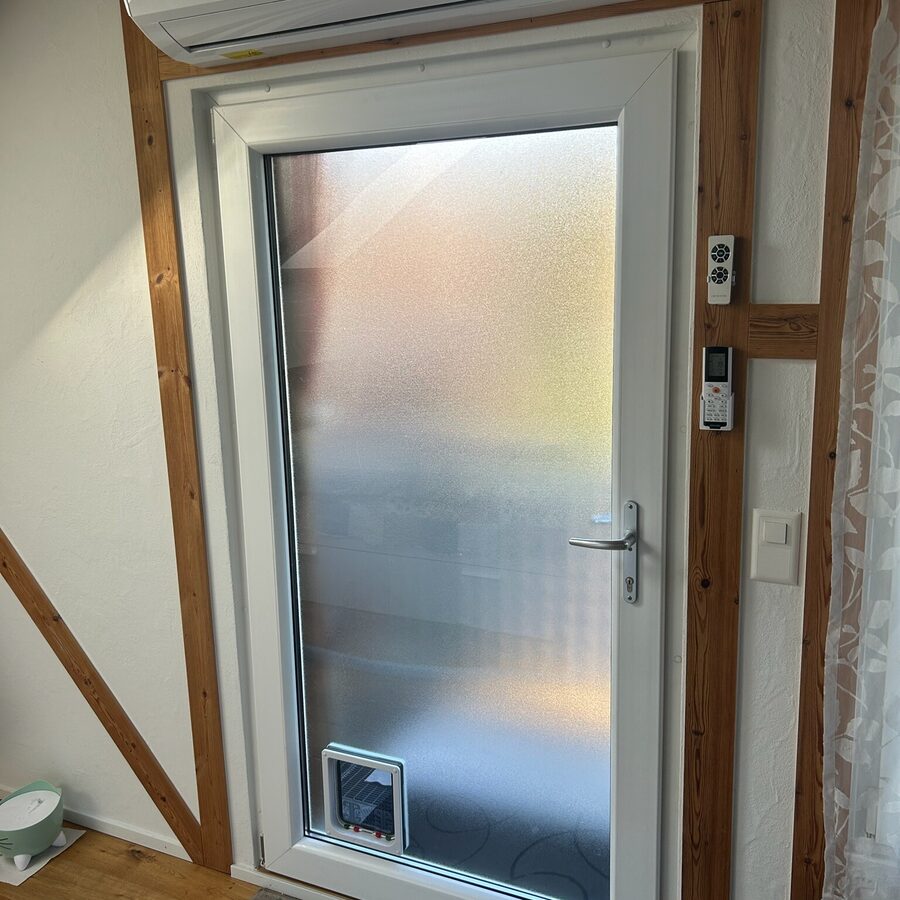 Cat door fitted into a frosted glass door