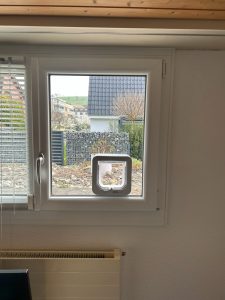 Cat door fitted into a balcony door with a garden view