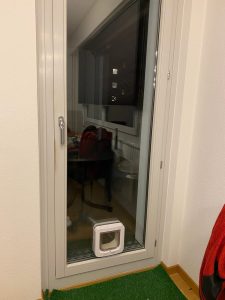 Cat door fitted into a kitchen door