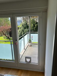Cat door fitted into a tall window