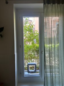 Cat door fitted into a modern glazed door