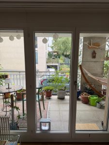 Cat door fitted into a glazed door with blinds