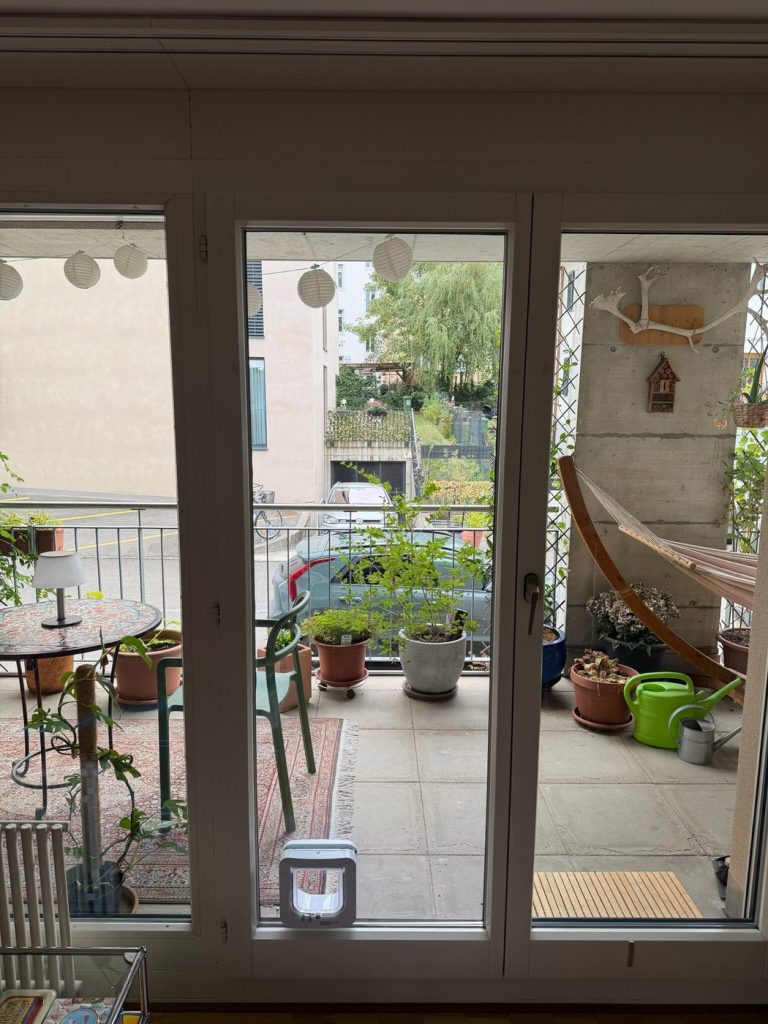 Cat door fitted into a glazed door with blinds