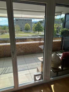 Cat door fitted into a conservatory door