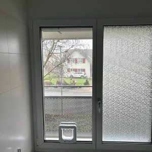 Cat door fitted into a bathroom window